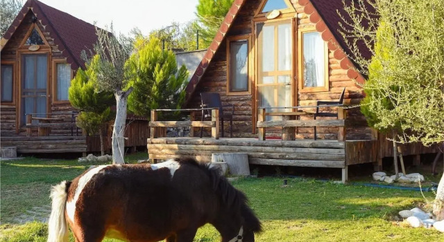 Бунгало Standard Ida Natura Life Style Otel Kazdaglari