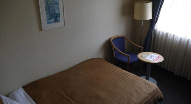 Одноместный номер Standard Ueno Frex Hotel