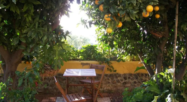 Коттедж Villa Caya