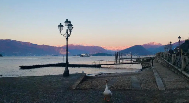 Le Betulle, Reserva ahora Hotel Oggebbio Lago Maggiore