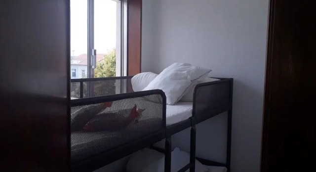Aslep, Private Rooms in a Hostel, Забронировать Хостел Бонфим Порту, рядом с Дом-музей Абилиу-Мануэла ди Герра-Жункейру