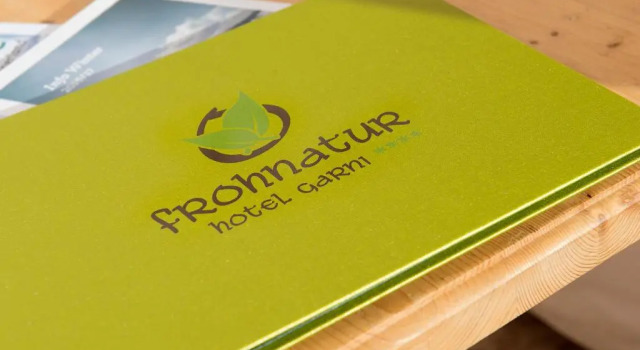Номер Standard Hotel Frohnatur