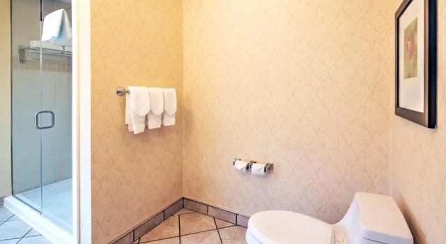 Номер Standard Hilton Garden Inn Ottawa Airport