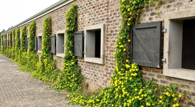Country House at Kay & Monty, 预订 酒店 Kurland 南非