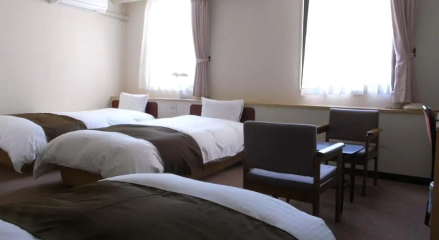 Трёхместный номер Standard Kagoshima Daiichi Hotel Kamoike