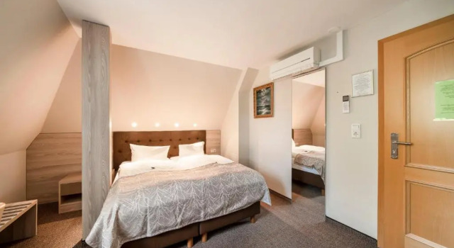 Двухместный номер Standard Hotel Villa am Waldschlösschen