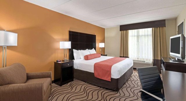 Comfort Inn & Suites Tampa North I-75