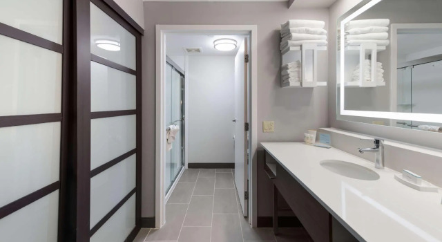 Четырёхместный люкс Hampton Inn & Suites Chicago-Hoffman Estates