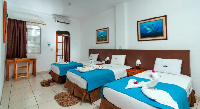 Номер Standard Hotel Coloma Galapagos