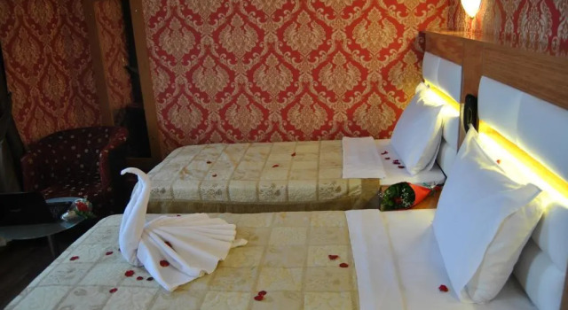 Двухместный номер Standard Hotel Star Park