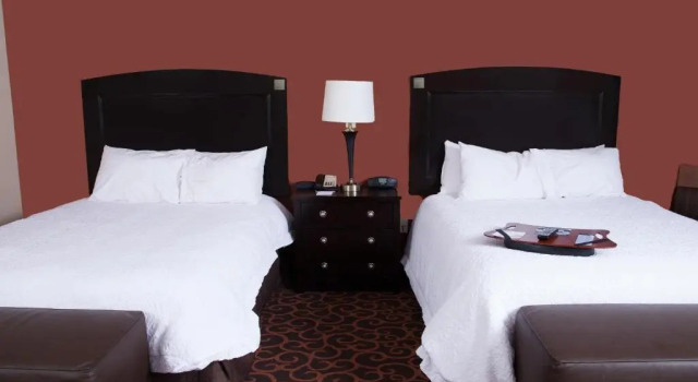Четырёхместная студия Hampton Inn & Suites Dickinson ND