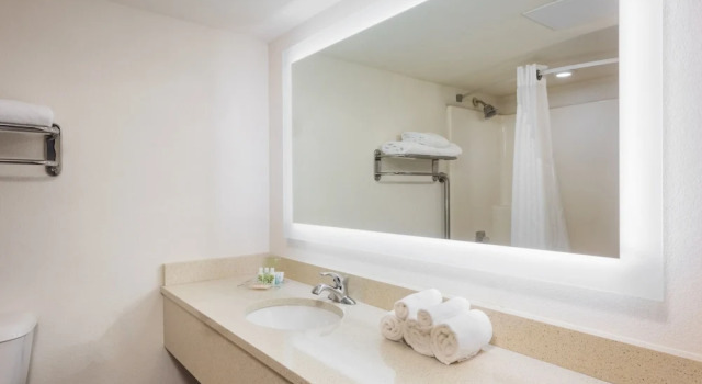Четырёхместный номер Standard с красивым видом из окна Holiday Inn At Six Flags Saint Louis by IHG