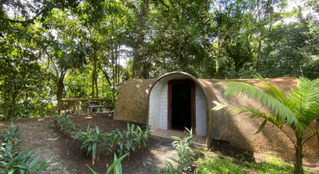 Апартаменты Rooms Flora y Fauna del Arenal