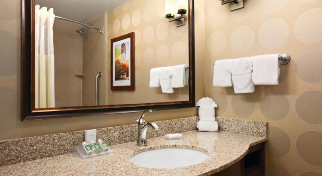Четырёхместный номер Premium Hilton Garden Inn Ann Arbor