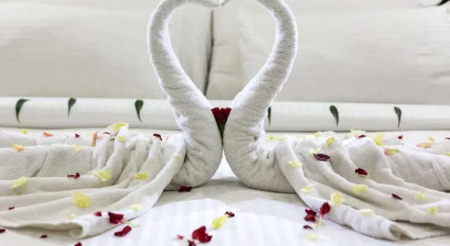 Двухместный номер Standard Snow Valley Resorts Shimla