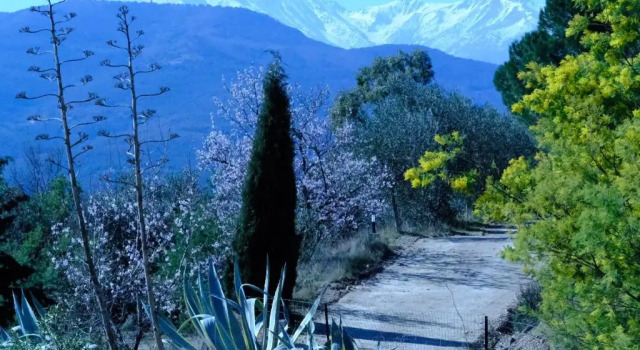 Mas D'en Llinas, Rezervați Hotel Castelnou Pyrénées-Orientales