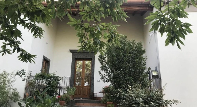 Sole di Sicilia