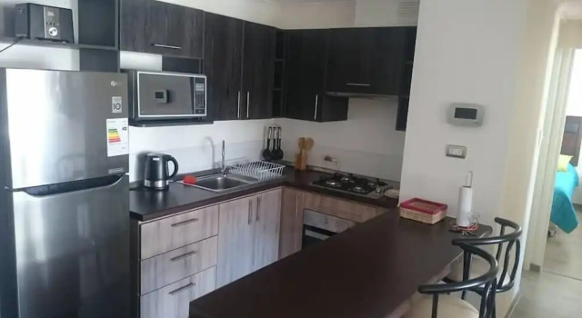 Апартаменты Departamento Araya