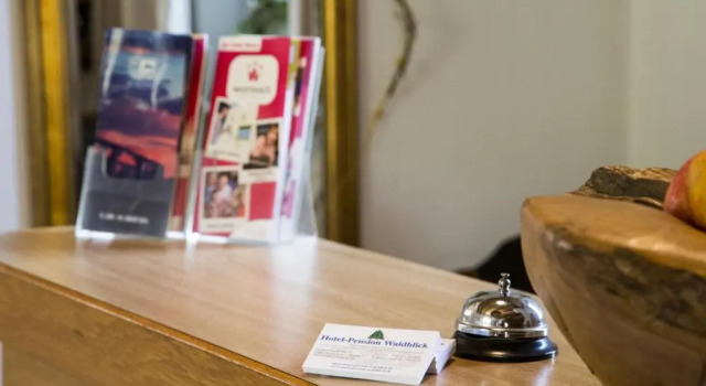 Номер Standard Hotel-Pension-Waldblick Garni