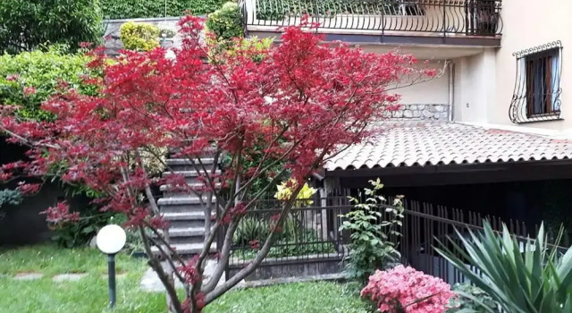 Апартаменты Giardino dei Limoni