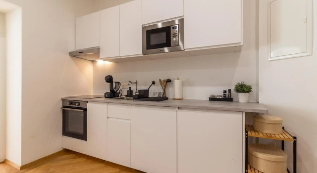 Vienna City Apartment
