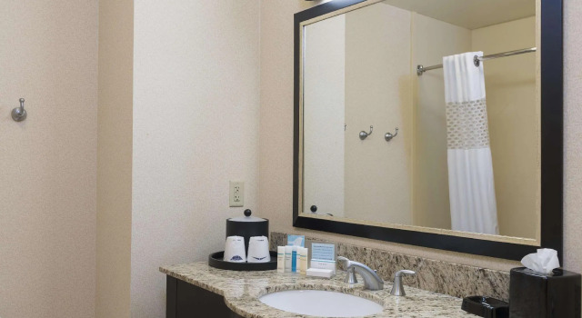 Четырёхместный номер Standard Hampton Inn & Suites Hartford-Manchester