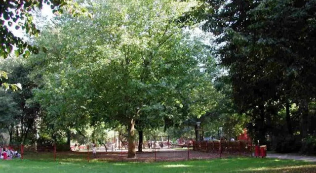 Апартаменты FeWo Parkblick HH Schanze