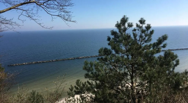 Апартаменты Villa Seepark - 4