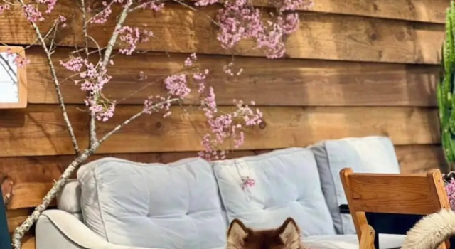 Коттедж Scent House - Village