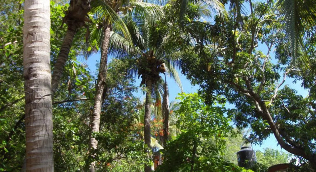 El Almendro, Reserva ahora Hotel Puerto Ángel Oaxaca