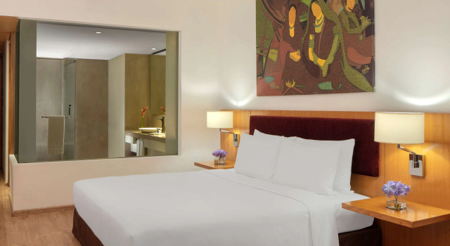 Номер Superior Radisson Blu Plaza Hotel Hyderabad Banjara Hills