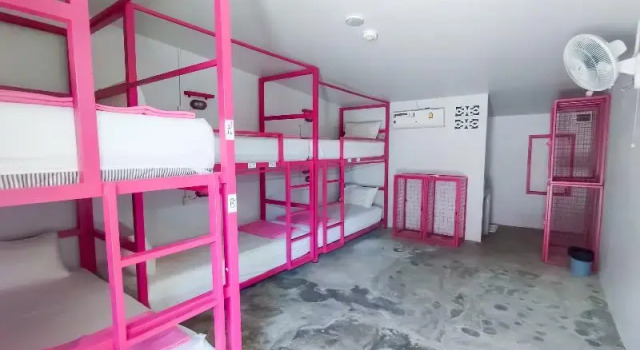 Кровать в общем номере Slumber Party Hostel