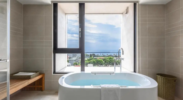 Двухместный номер Premier с видом на океан Lakeshore Hotel Hualien