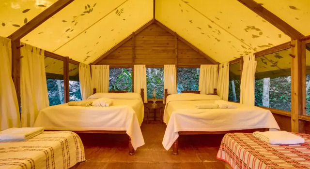 Номер Standard Belize Rainforest Retreat at Chaa Creek