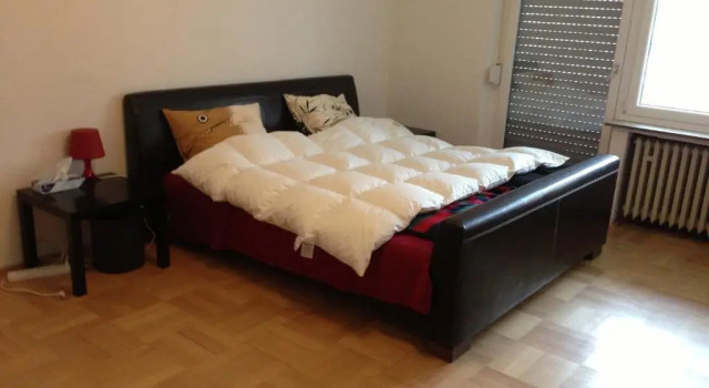 Апартаменты с балконом Schönes Apartment in Essen
