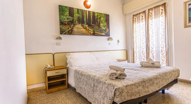 Двухместный номер Standard Hotel Continental