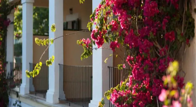 Standard Doppel Zimmer mit Balkon Hotel Bahia