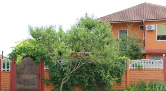 Casa Ancuta