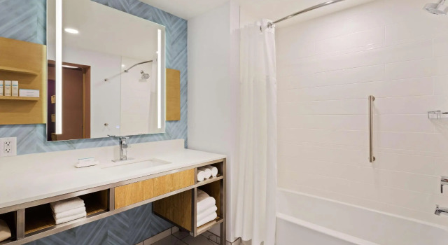 Номер Premium Hilton Garden Inn Homestead