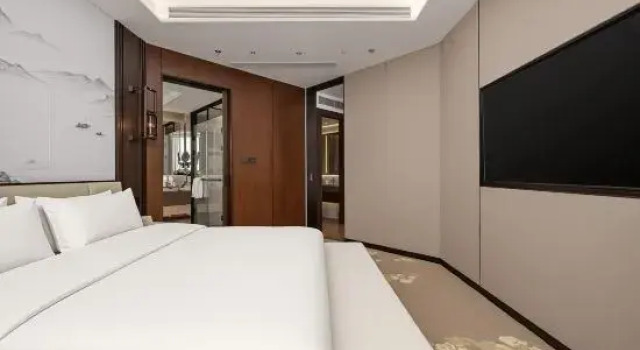 Люкс Superior с видом на город Meishan Hotel