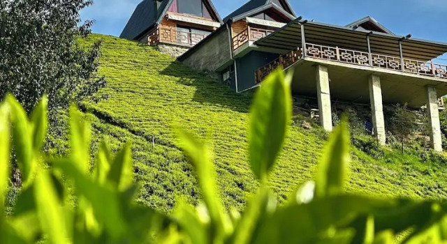 Celazeni̇ Bungalov, Забронировать Дом для отпуска Ардешен Черноморский регион Турции