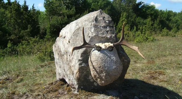 Полулюкс Mardi Farm Stay
