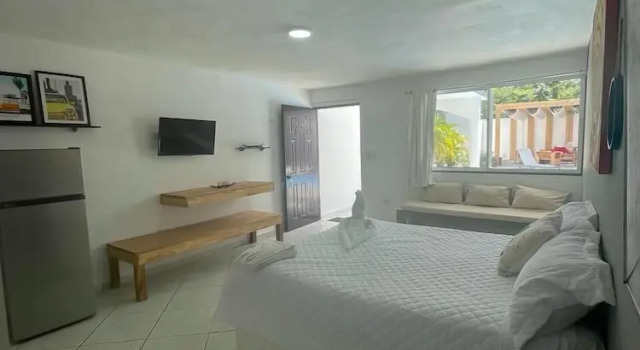 Студия Hotel Appartements Hummingbird CABARETE
