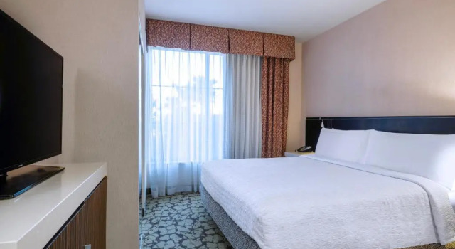 Двухместный полулюкс Hilton Garden Inn Las Vegas Strip South