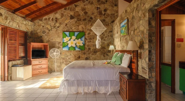 Номер Deluxe Frangipani Hotel