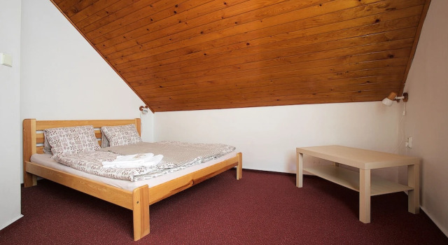 Двухместный номер Standard Hotel Rohanov