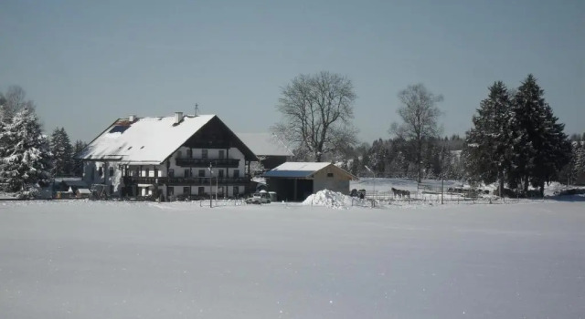 Номер Standard Hauserwirt