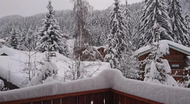 Chalet La Tania, 4 pièces, 13 personnes - FR-1-513-45