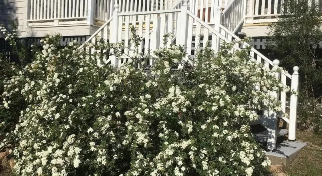 Glen Aplin Gardens B&B, Reserva ahora Bed & breakfast Glen Aplin Queensland