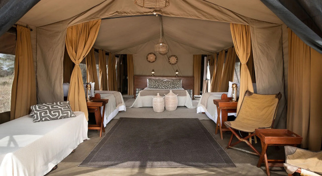 Serengeti Sojourn